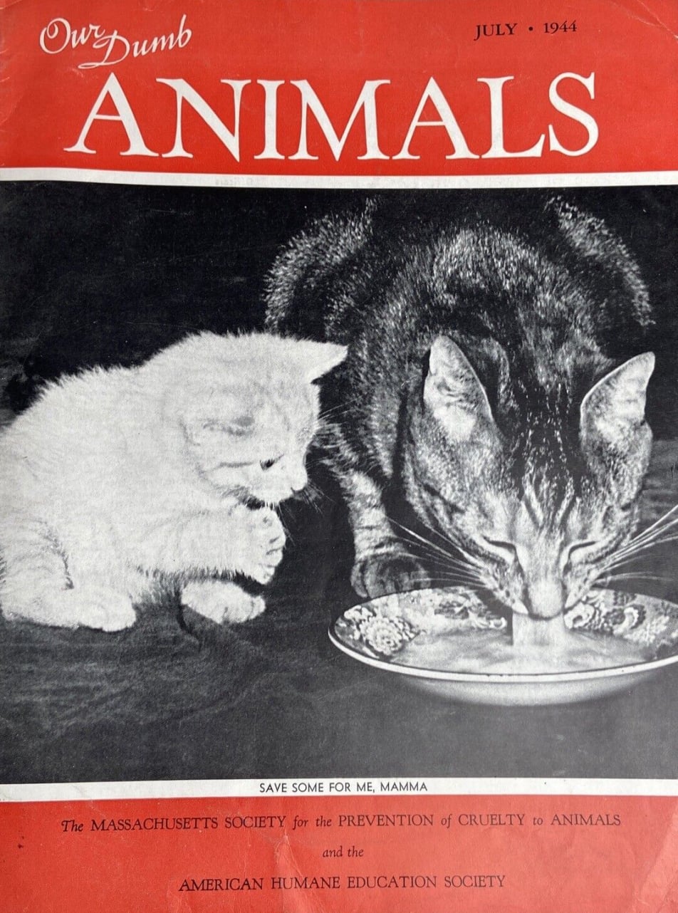 "Our Dumb Animals" magazine July 1944 with two cats on the cover